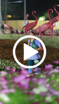 BIB:  <button type="button" onclick="openModal(27590018)" class="btn btn-primary btn-sm float-right" data-toggle="modal" data-target=".modal-high-quality">
                <i class="fa fa-download"></i> Download
                </button>